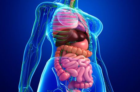 Ova hrana je rizik broj 1 u stvaranju raka debelog crijeva kod žena: Tvrde stručnjaci