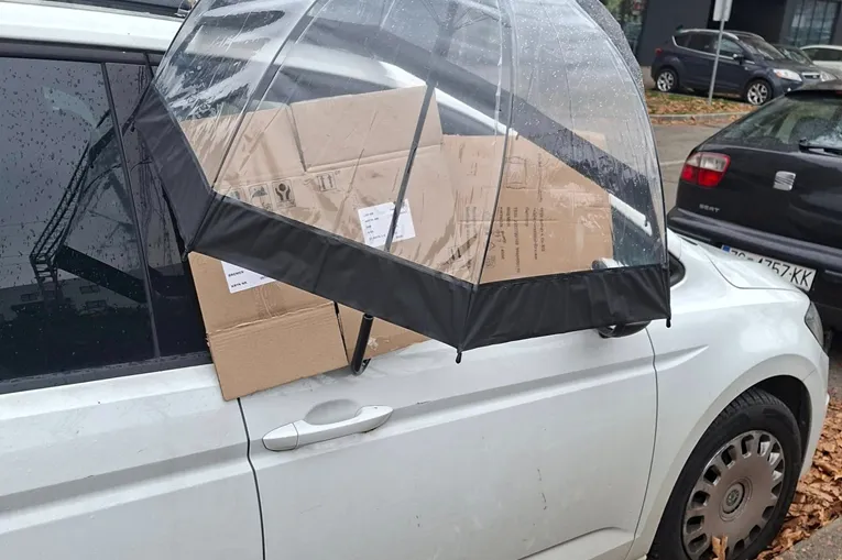 Ostavila otvoren prozor na autu i otišla u dućan: Kad se vratila, imala je šta da vidi (FOTO)