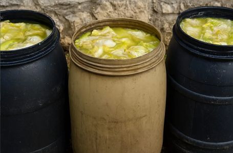 Zašto se glavice kupusa ne kisele nakon što ih stavite u bure? Ovo je razlog