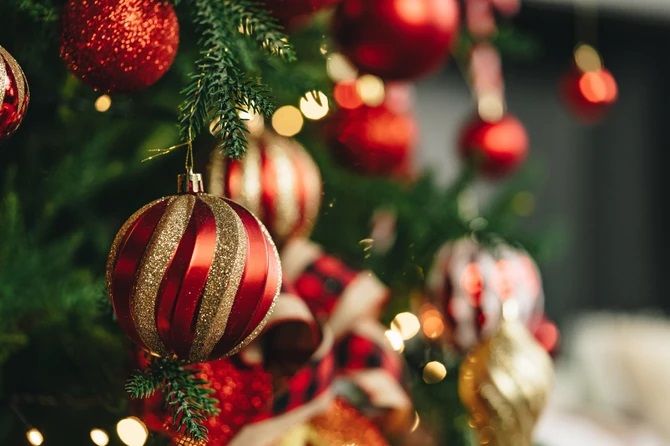 Evo kada treba OKITITI JELKU da biste privukli bogatstvo i sreću: Astrolozi su naveli tačne daume