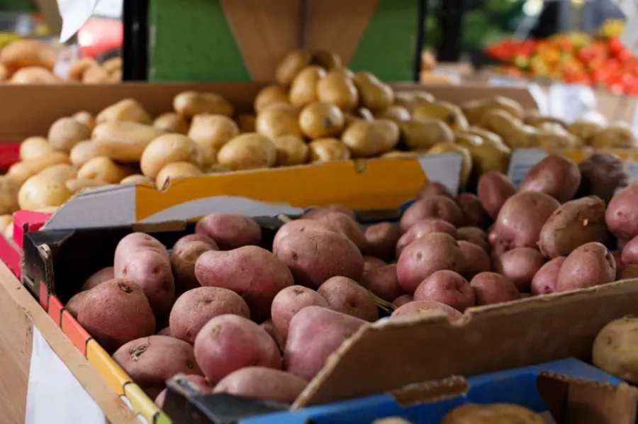 Pojavila se neobična slika: Bježite od ovakvih krompira kao đavo od tamjana