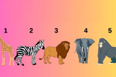 Test otkriva vašu Ahilovu petu: Odaberite 1 životinju i otkrijte vašu najveću slabost