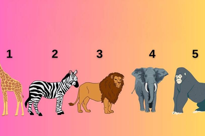 Test otkriva vašu Ahilovu petu: Odaberite 1 životinju i otkrijte vašu najveću slabost
