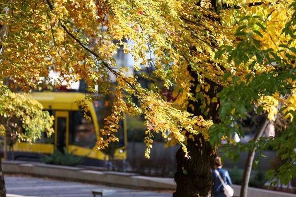 Sunčano vrijeme na jugu, u ostatku zemlje oblačno