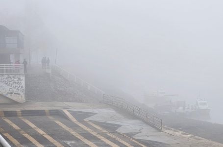 Detalji tragedije na Savi: Državljanin BiH švercovao migrante