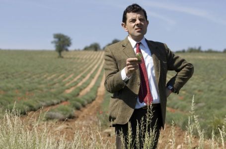 7 navika koje po psihologiji pokazuju da neko ima nizak nivo inteligencije