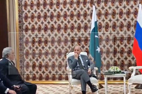 Pakistanski premijer čekao Putina 40 minuta, pa poludio i uletio mu na sastanak s Erdoganom