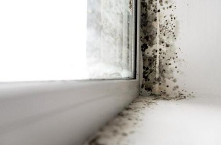 Ljekari upozoravaju na opasnosti vlage i plijesni u zimskom periodu