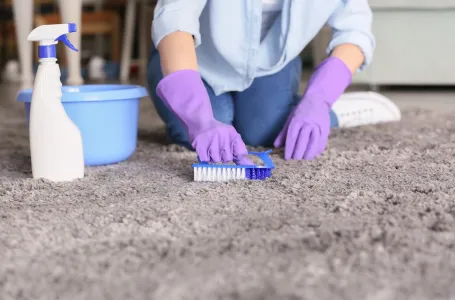 Brzo osvježavanje tepiha bez pranja: Uradi to prije praznika – dovoljan je samo jedan proizvod