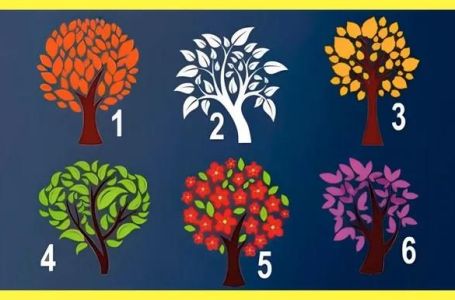 Izaberite drvo i saznajte kakav utisak ostavljate na ljude? Test otkriva kako vas dugi vide