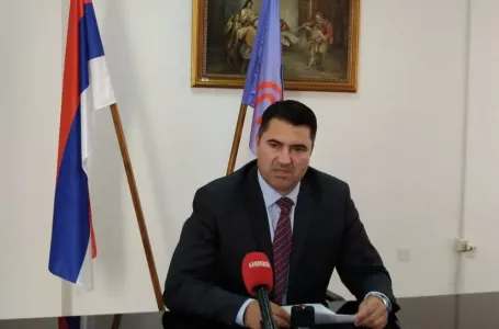 Vujičić: Zakone o sudu i VSTS koje predlažu "trojke" je kreirao Schmidt