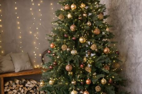 Evo gdje jelka treba da vam stoji u kući ako želite sreću i blagostanje u 2026. godini