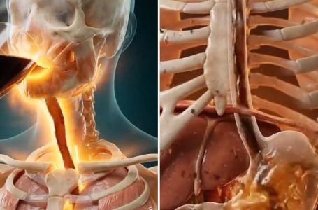 Pijete kafu na prazan želudac? Evo šta ona uradi vašem tijelu