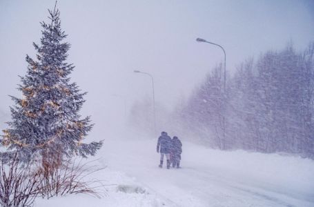 Drama na sjeveru Evrope: Zbog oluje desetine hiljada domaćinstava bez struje, stotine nesreća