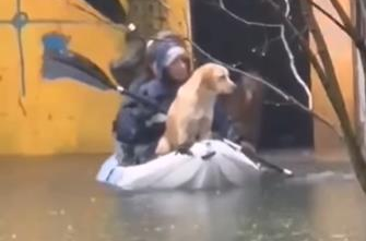 Hrabre djevojke spasile pse iz blata nakon poplava