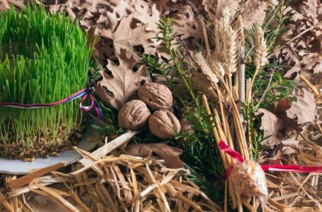 Šta uraditi sa badnjakom nakon Božića: Nikako ga ne bacajte