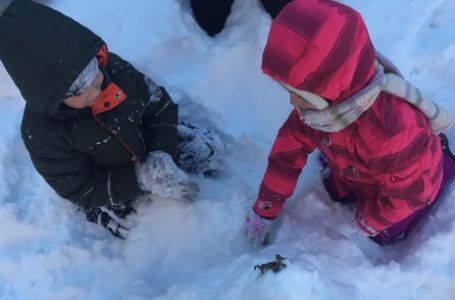 Evo šta unosite u tijelo kad pojedete snijeg: Stručnjaci upozoravaju