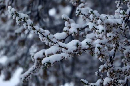 Meteorolozi najavljuju: Iz proljetnih vraćamo se u zimske uslove
