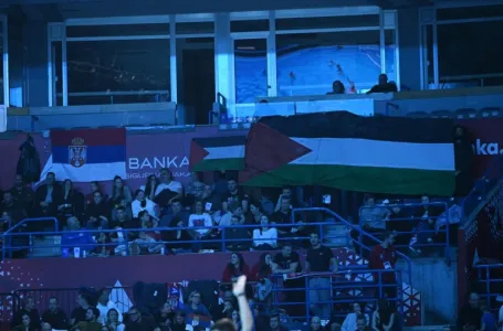Prizor sa tribine u Beogradu: Zastave Palestine istaknute na vaterpolo utakmici Srbija - Izrael