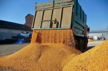 Rusija u 2025. godini izvezla više od dva miliona tona žitarica iz Ukrajine