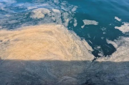 Jadran je 2024. prekrila “morska sluz”. Naučnici otkrili uzrok