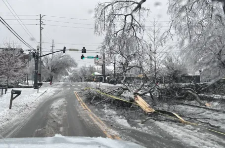Zimska oluja paralizovala SAD: Najmanje sedam mrtvih