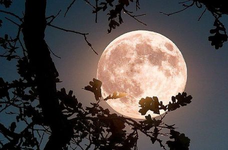 Stiže nam pun Mjesec 1. februara: 4 znaka horoskopa broje sitno do najveće sreće