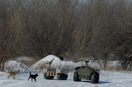 Šokantno otkriće! Psi u Ukrajini više nisu isti: 1 stvar najviše iznenađuje