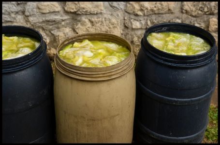 Kako ćete zaustaviti kvarenje kiselog kupusa? Uradite ovo i ostaće hrskav i ukusan sve do ljeta!