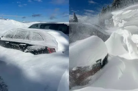 Sloveniju zameo snijeg: Snažan vjetar rušio stabla i trgao krovove
