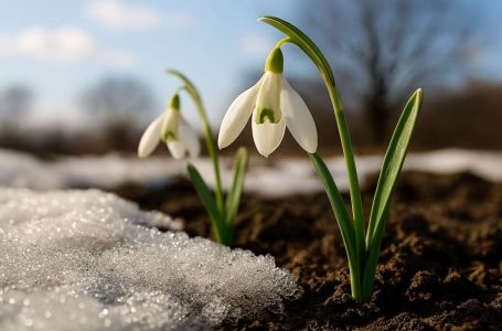 Prvo džemre 'udara' u zrak 19. februara: Evo šta to znači