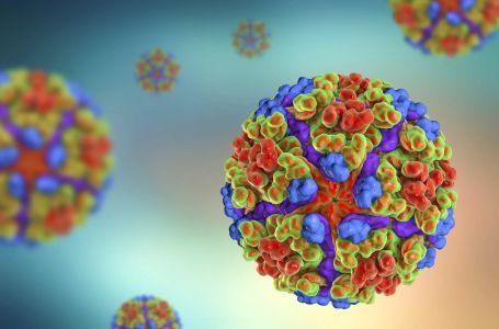 Opasna tropska bolest koja uzrokuje jake bolove sada prijeti većem dijelu Evrope