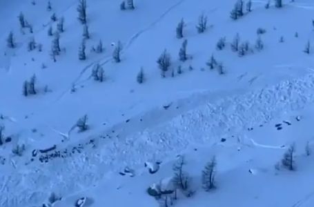 Tragedija u Kaliforniji: Osam skijaša poginulo u lavini, jedan nestao