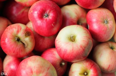 Svaki dan jedete jabuke? Evo šta se događa u vašem tijelu dok uzimate ovo voće