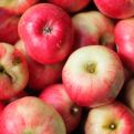 Svaki dan jedete jabuke? Evo šta se događa u vašem tijelu dok uzimate ovo voće