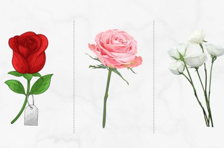 Koju ružu birate? Ovaj brzi test ličnosti otkriva kako se nosite sa stresom