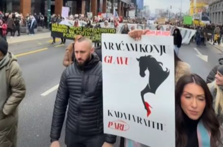 Hana Hadžiavdagić na protestima u Sarajevu: Vraćam konju glavu, kada vi vratite pare