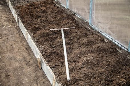 7 vrsta povrća koje se ne đubre nikad: Rastu samo od vode i sunca