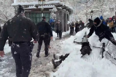 Nakon masovnog grudanja završili u bolnici: Zbog haosa u parku izbio sukob sa policijom