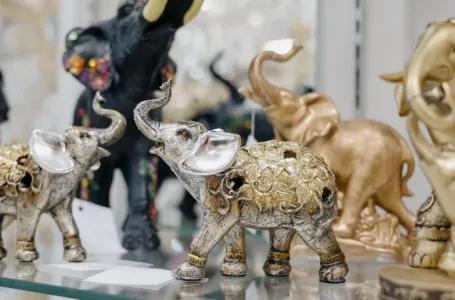 Figura slona može da promijeni energiju u kući: Evo gdje da je stavite da biste privukli novac