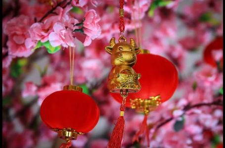 2026. je njihova godina: Za ova 4 kineska znaka stiže sve na tacni i ljubav i brdo para