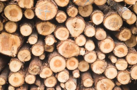 Vlada izdvojila 60.000KM za subvencioniranje ogrijeva za penzionere