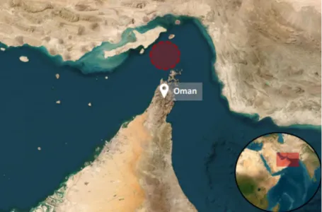 Projektil upravo pogodio britanski brod u Hormuškom tjesnacu