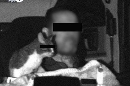 Kamera za brzinu snimila mačku u kamionu, evo zašto je vozač dobio dvije kazne