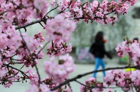 Meteorolozi objavili prognozu za BiH do 24. marta: Stiže nam promjena vremena