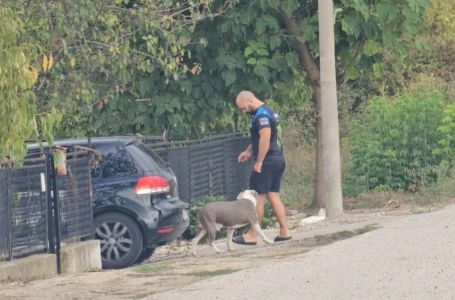 Ogromna tuga! Dragan Lazić je iza sebe ostavio suprugu i kćerke: Tragično stradao u 32. godini