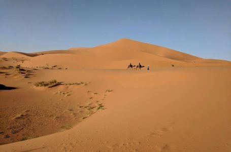 Kina godinama sadila milijarde stabala usred pustinje: Sateliti sada pokazali nevjerojatan rezultat