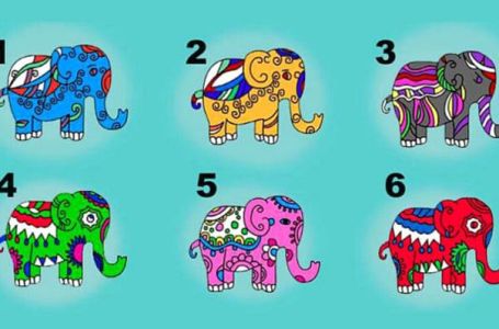 Slonić koji nosi sreću: Vaš omiljeni slon ima savjet za Vas – otkrijte koji!