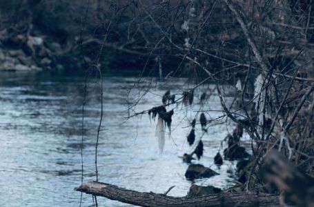 Šok prizor u Nišu: Da li je moguće da OVO pluta rijekom?!