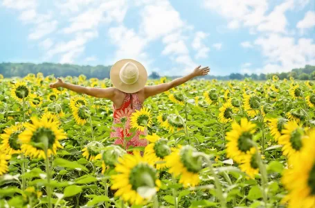 Novčani horoskop za april: četiri znaka mogu da računaju na ozbiljan priliv